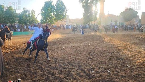 إبداعات الخيالة بالمولد النبوى الشريف بقرية منشأة العمارى (5) إبداعات الخيالة بالمولد النبوى الشريف بقرية منشأة العمارى (5)