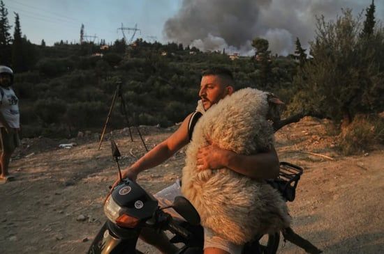 صور حرائق الغابات في أوروبا تشرد الآلاف بينما ينضم السكان إلى جهود مكافحة النيران (3) صور حرائق الغابات في أوروبا تشرد الآلاف بينما ينضم السكان إلى جهود مكافحة النيران (3)