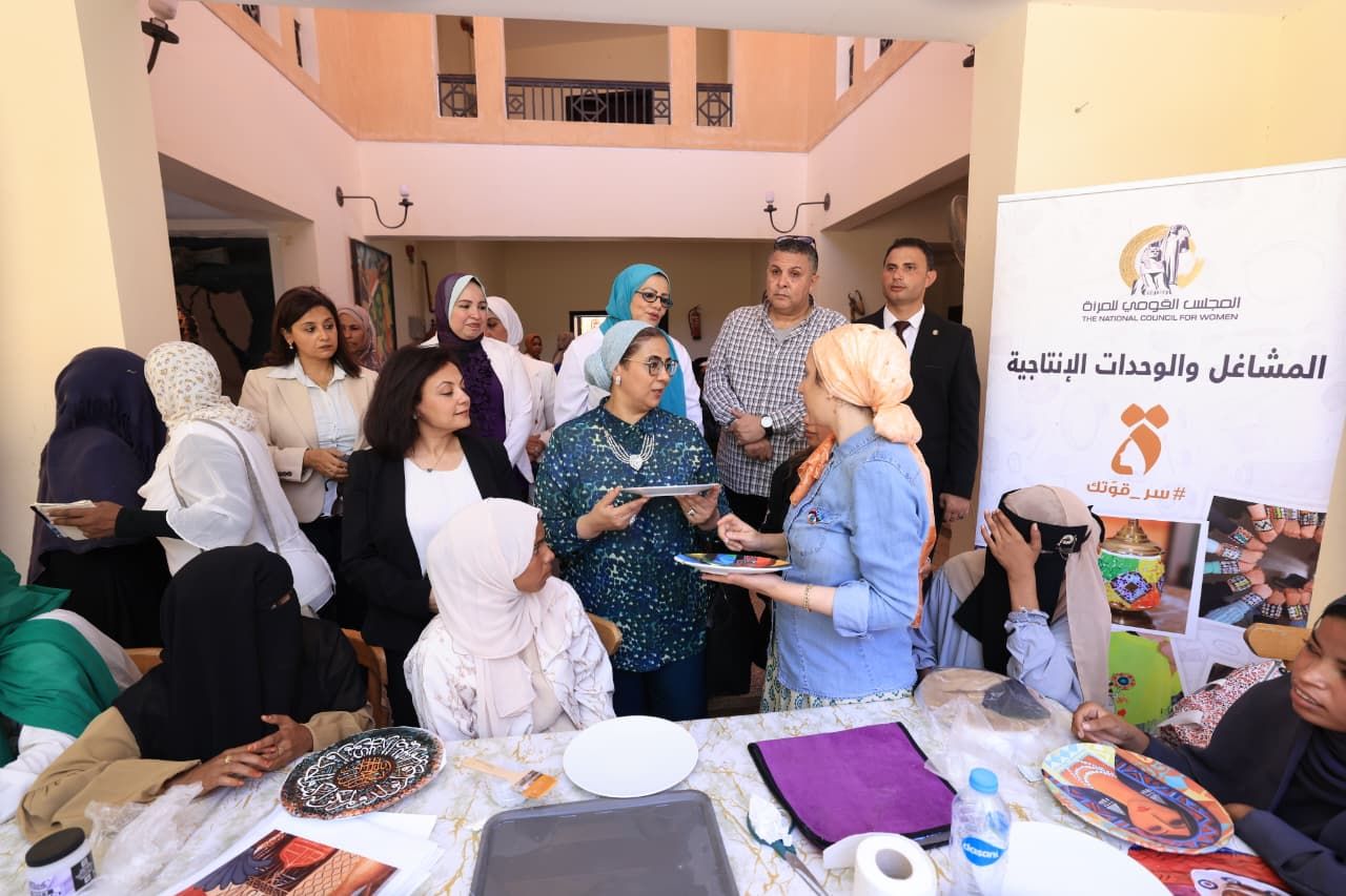 أنشطة المجلس أنشطة المجلس