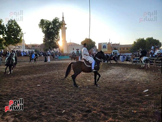 إبداعات الخيالة بالمولد النبوى الشريف بقرية منشأة العمارى (2) إبداعات الخيالة بالمولد النبوى الشريف بقرية منشأة العمارى (2)