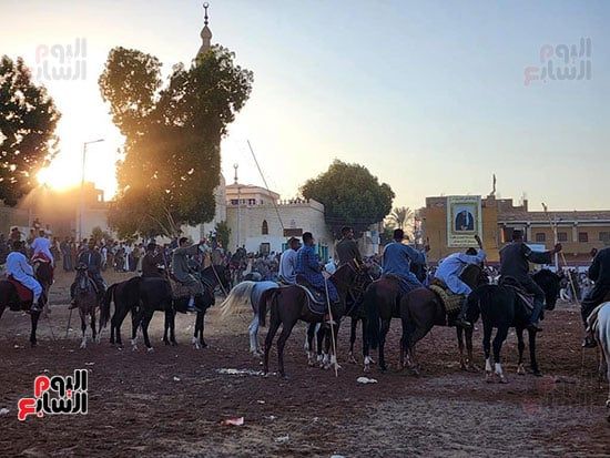 إبداعات الخيالة بالمولد النبوى الشريف بقرية منشأة العمارى (4) إبداعات الخيالة بالمولد النبوى الشريف بقرية منشأة العمارى (4)
