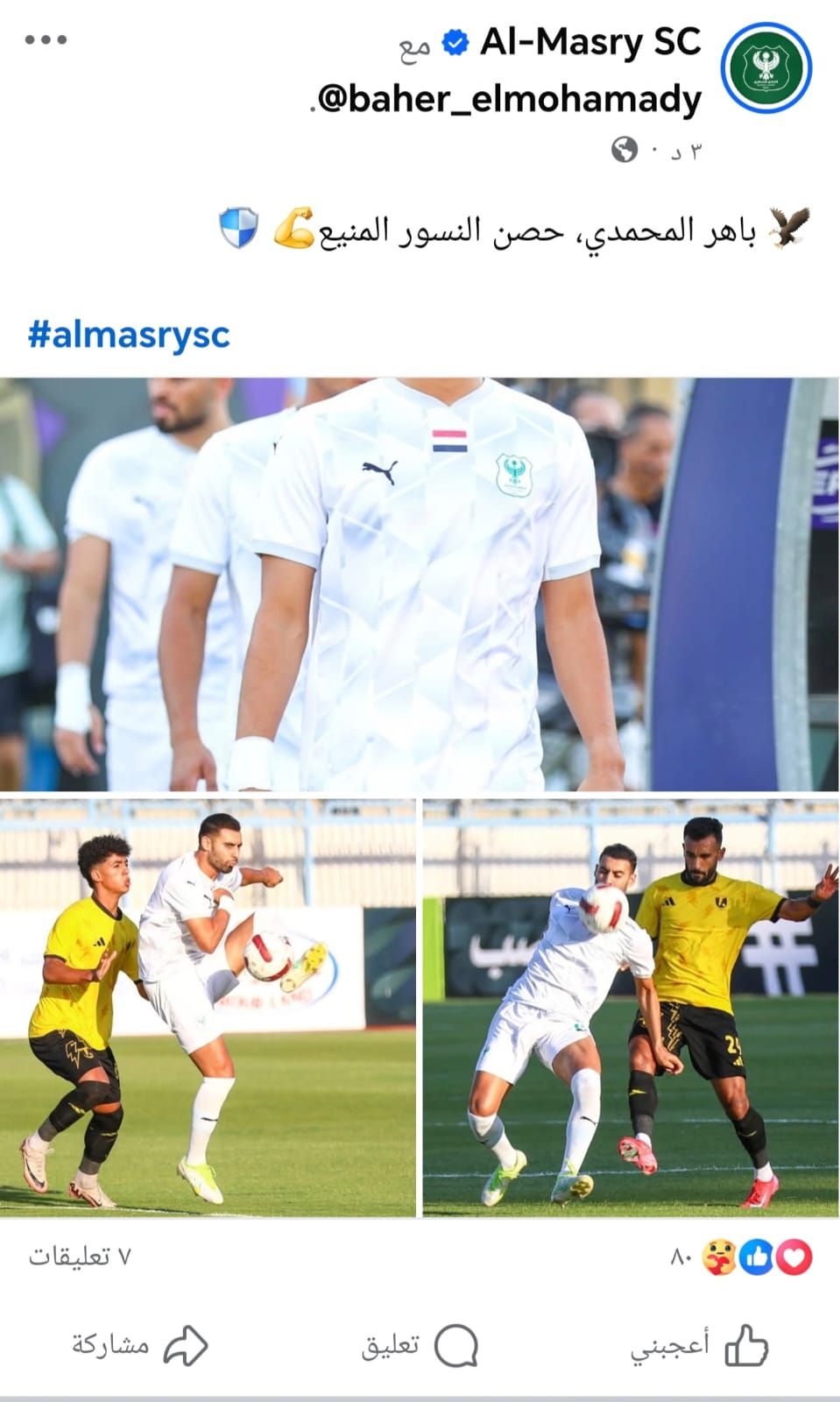 المصري المصري