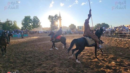 إبداعات الخيالة بالمولد النبوى الشريف بقرية منشأة العمارى (1) إبداعات الخيالة بالمولد النبوى الشريف بقرية منشأة العمارى (1)