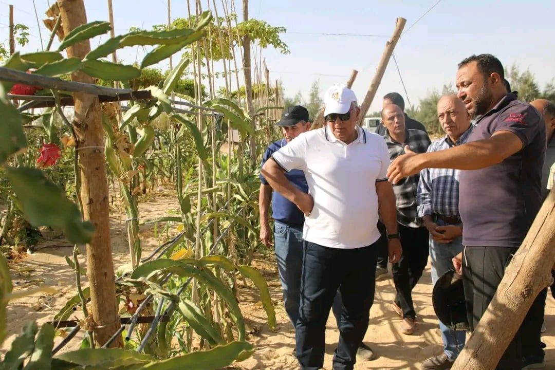 طرح مبادرة للتوسع في زراعة الدراجون فروت طرح مبادرة للتوسع في زراعة الدراجون فروت