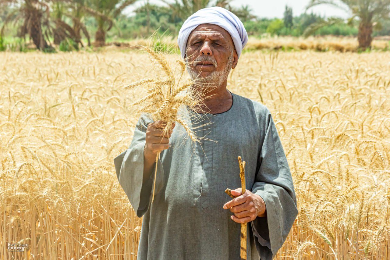 الصورة الفائزة الصورة الفائزة