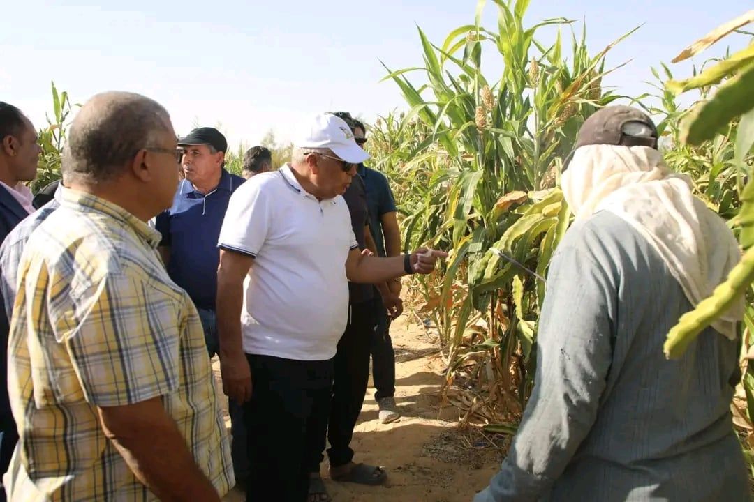 محافظ الوادي الجديد يتفقد مزارع الدراجون فروت محافظ الوادي الجديد يتفقد مزارع الدراجون فروت
