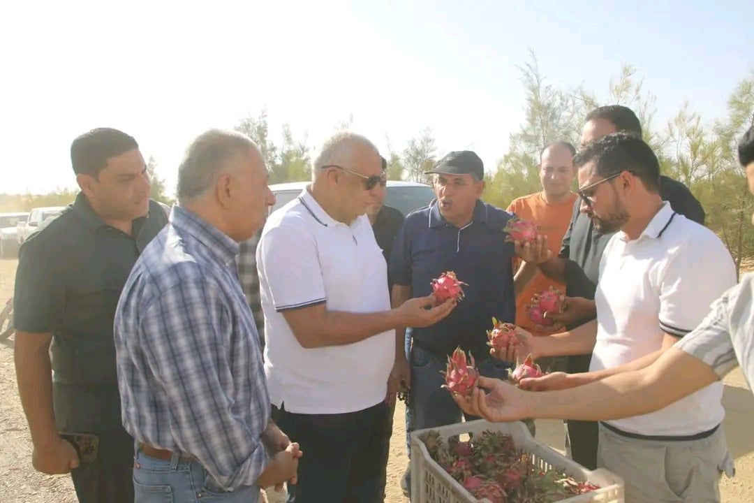 محافظ الوادي الجديد يشهد جنى ثمار التنين محافظ الوادي الجديد يشهد جنى ثمار التنين