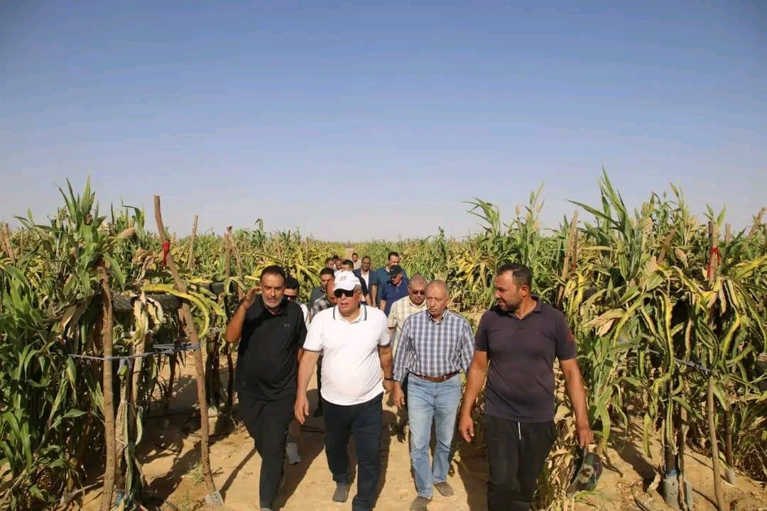 داخل أول مزرعة لإنتاج الدراجون فروت داخل أول مزرعة لإنتاج الدراجون فروت