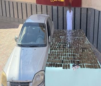 كميات كبرة من مخدر الحشيش كميات كبرة من مخدر الحشيش