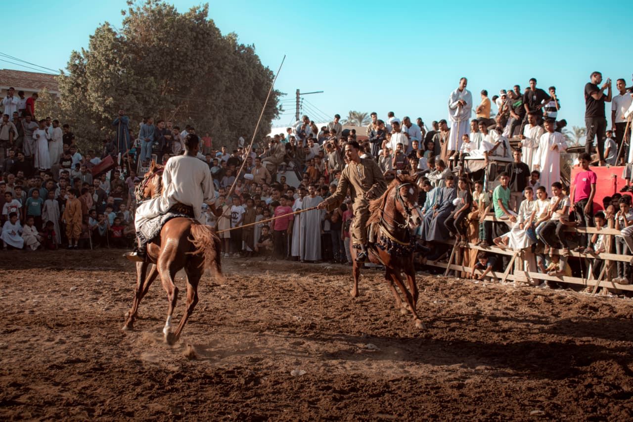 عروض بالخيول فى ليالي المولد النبوى عروض بالخيول فى ليالي المولد النبوى