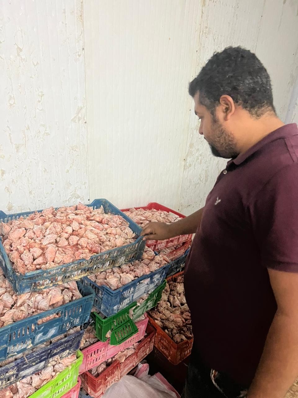 دواجن ولحوم فاسدة دواجن ولحوم فاسدة