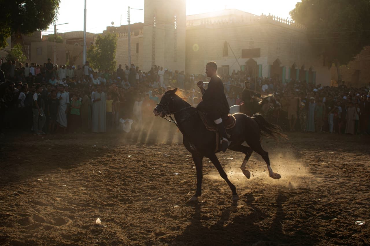 سحر وبهجة الخيول فى ليالي المولد النبوى سحر وبهجة الخيول فى ليالي المولد النبوى