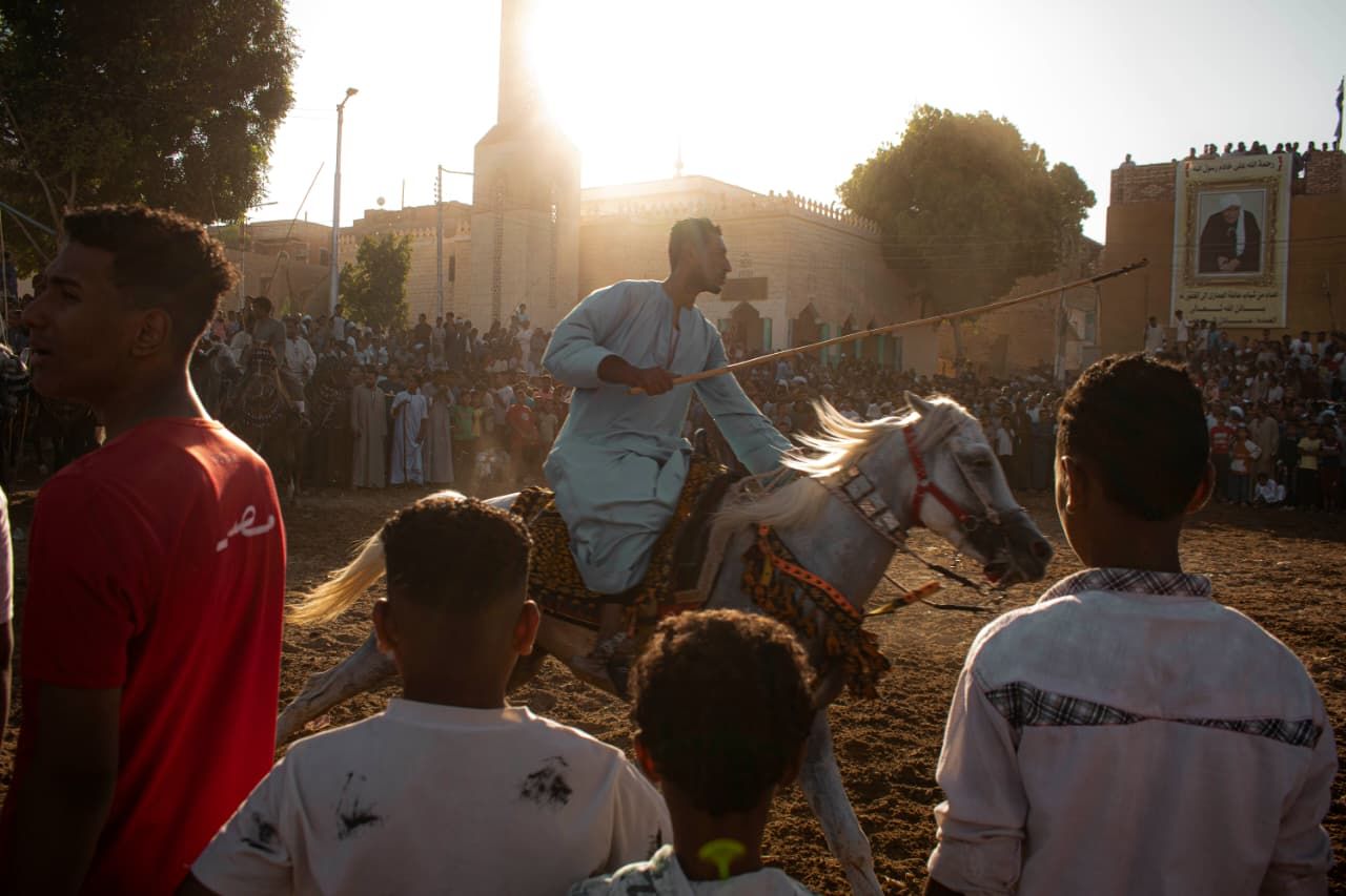 مرماح الخيول فى فرحة المولد النبوي الشريف بالأقصر مرماح الخيول فى فرحة المولد النبوي الشريف بالأقصر