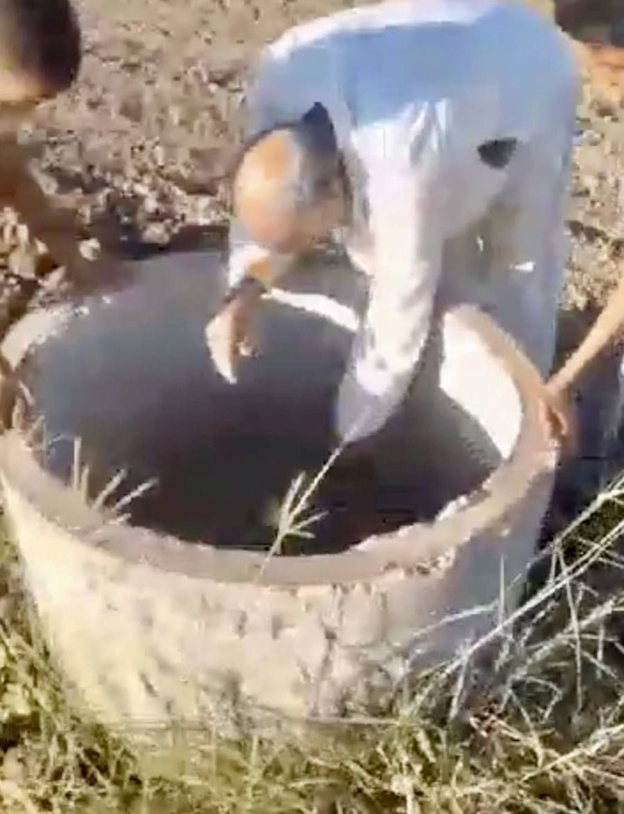 مدير مدرسة بقرية الرياينة وأسرته ينقذون كلب سقط في بئر