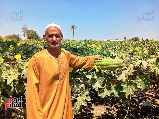 حبيب-محمد-حبيب حبيب-محمد-حبيب