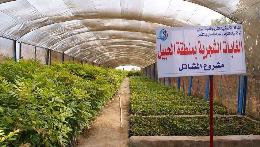 الغابات الشجرية في الحبيل بالأقصر مملكة الخيرات للمحافظة الغابات الشجرية في الحبيل بالأقصر مملكة الخيرات للمحافظة