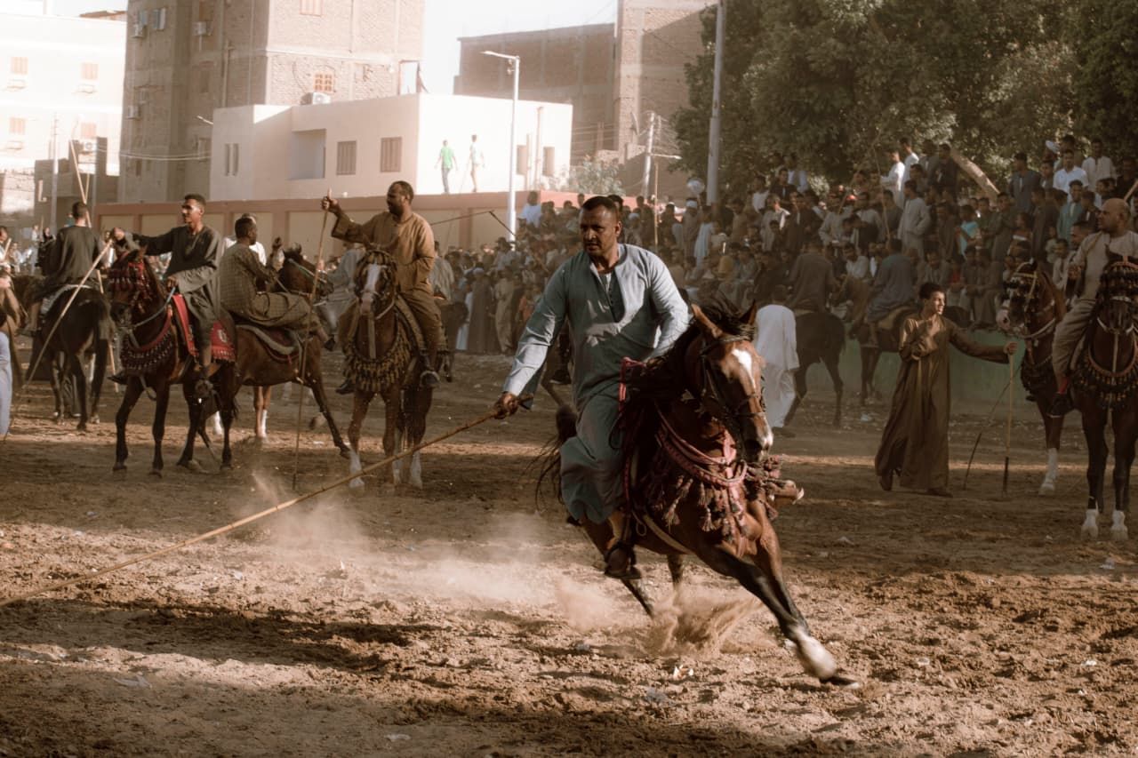 جانب من مرماح الخيول الأخير فى ليلة المولد النبوى جانب من مرماح الخيول الأخير فى ليلة المولد النبوى