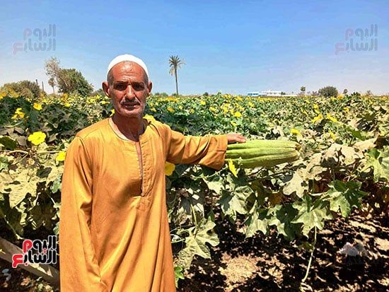 حبيب-محمد-حبيب-من-كبار-مزراعى-اللوف حبيب-محمد-حبيب-من-كبار-مزراعى-اللوف