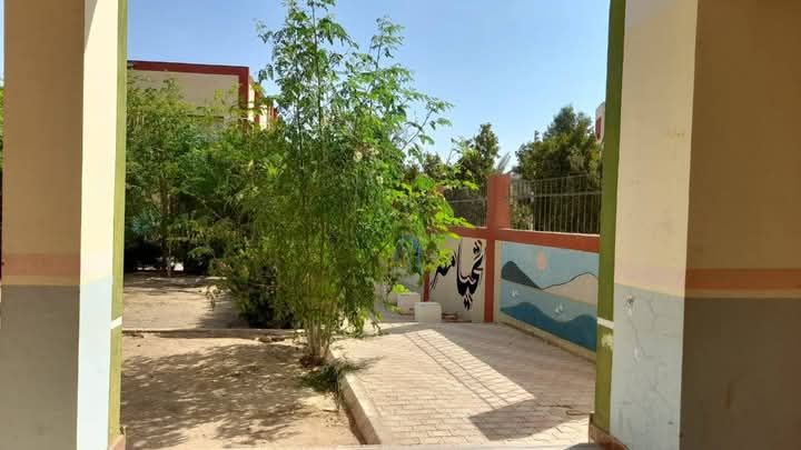 تشجير المدارس تشجير المدارس