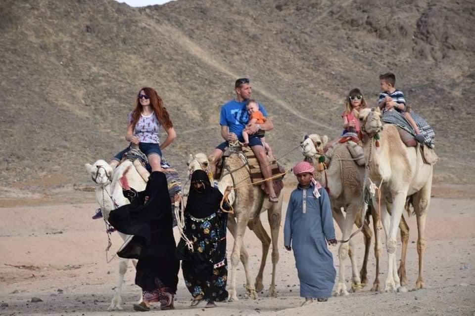 رحلات السفاري ركوب الجمال