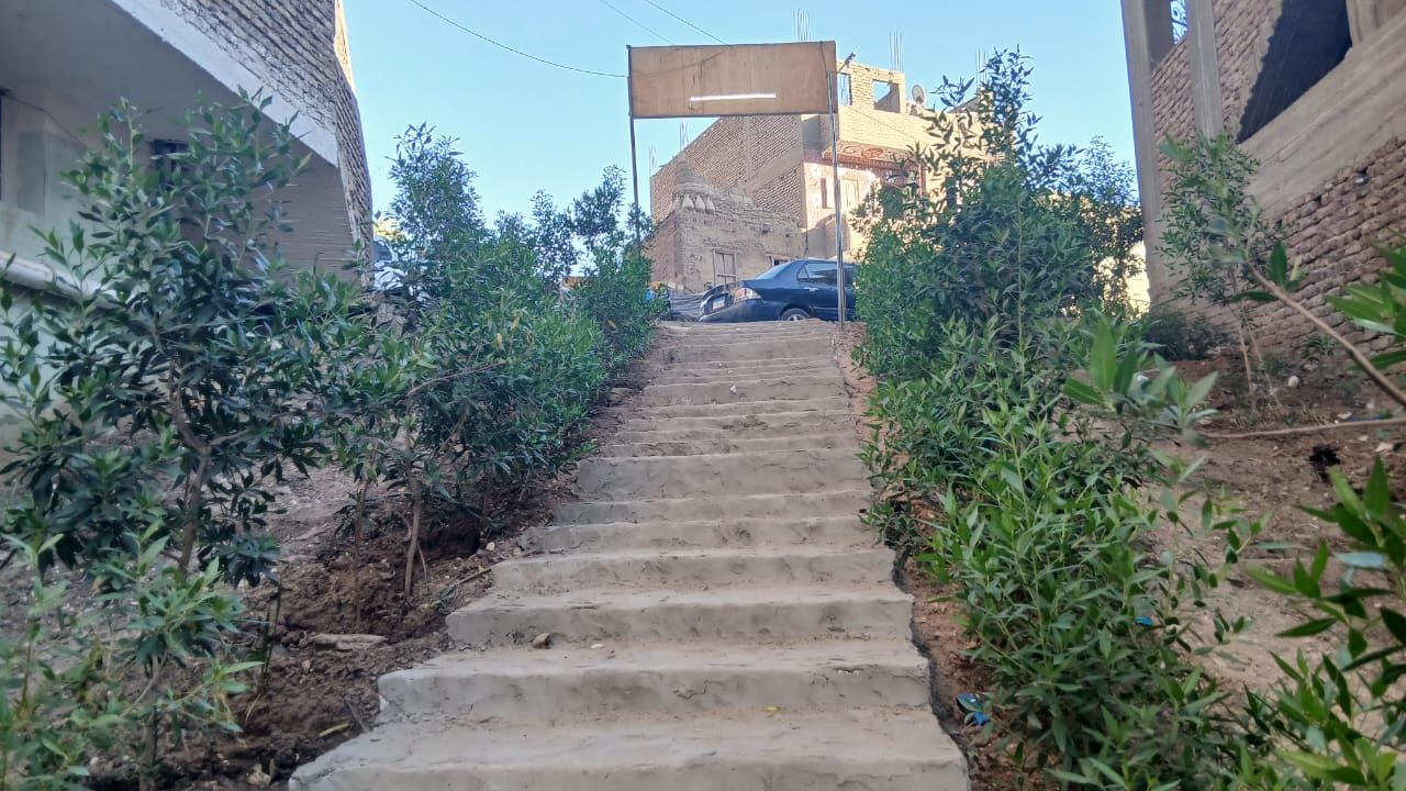 حديقة المدرسة