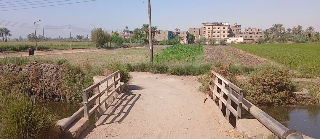 _قرية ساقية القاضي بقنا _قرية ساقية القاضي بقنا