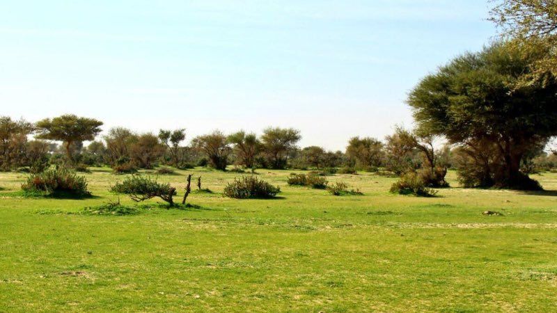 هيئة تطوير محمية الإمام تركي بن عبدالله تطلق ضوابط الرعي والصيد والاحتطاب