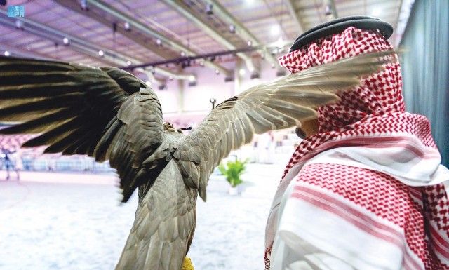 بيع أغلى صقر في النسخة الثانية لمزاد نادي الصقور السعودي
