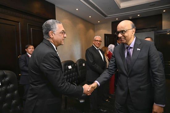 وزير الاستثمار والتجارة الخارجية يلتقي رئيس جمهورية سنغافورة على هامش منتدى الأعمال المصري–السنغافوري (1) وزير الاستثمار والتجارة الخارجية يلتقي رئيس جمهورية سنغافورة على هامش منتدى الأعمال المصري–السنغافوري (1)