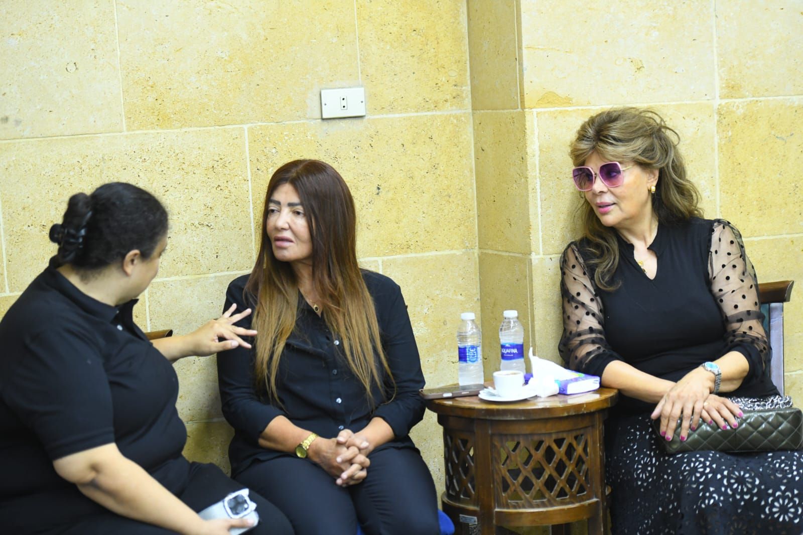 الفنانة صفاء ابو السعود