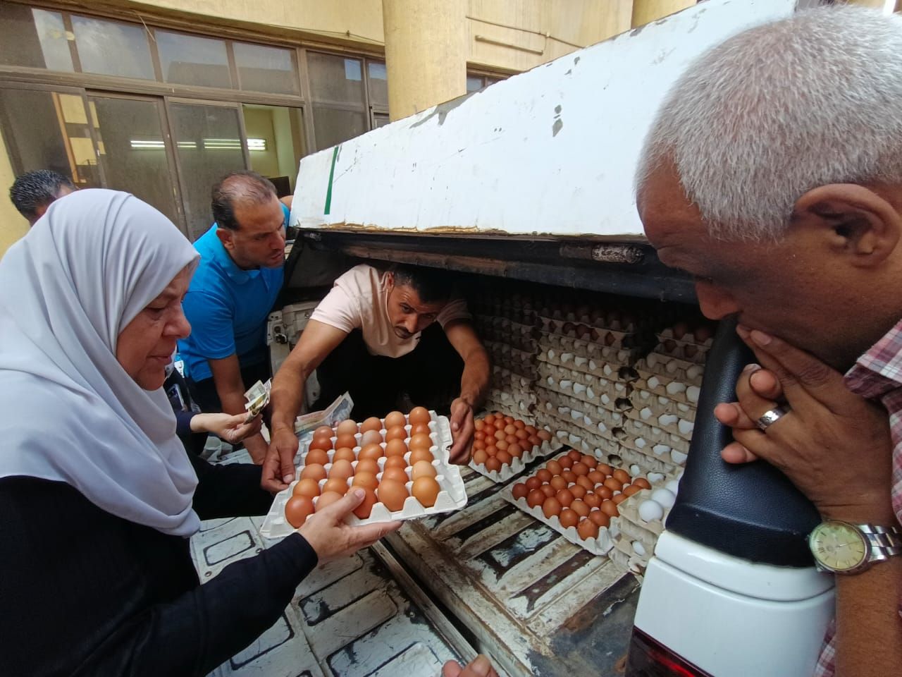 سيدة تشترى بيض المائدة