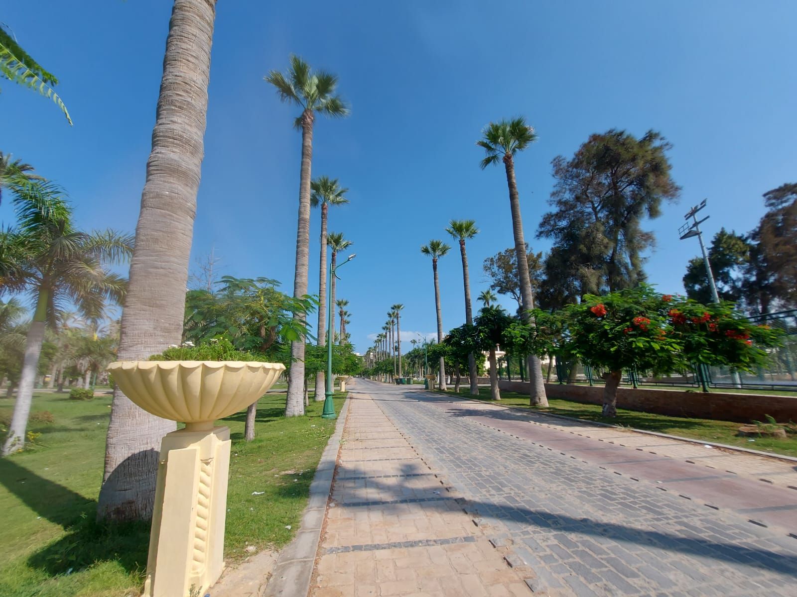 حدائق المنتزة على 370 فدان