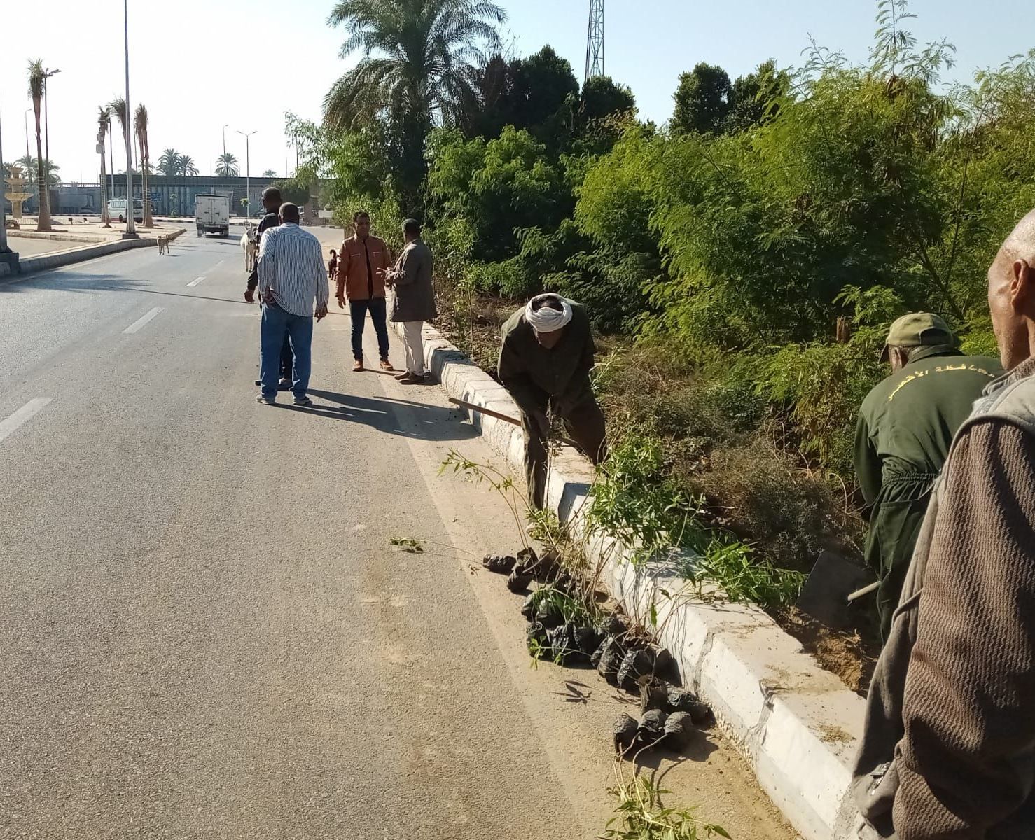 رئيس مدينة البياضية يؤكد على تكثيف أعمال زيادة المساحات الخضراء