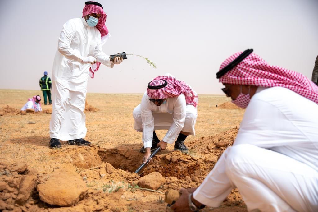 تشجير محمية الملك عبدالعزيز ترسخ رؤية محمد بن سلمان وتلبي أهداف السعودية الخضراء