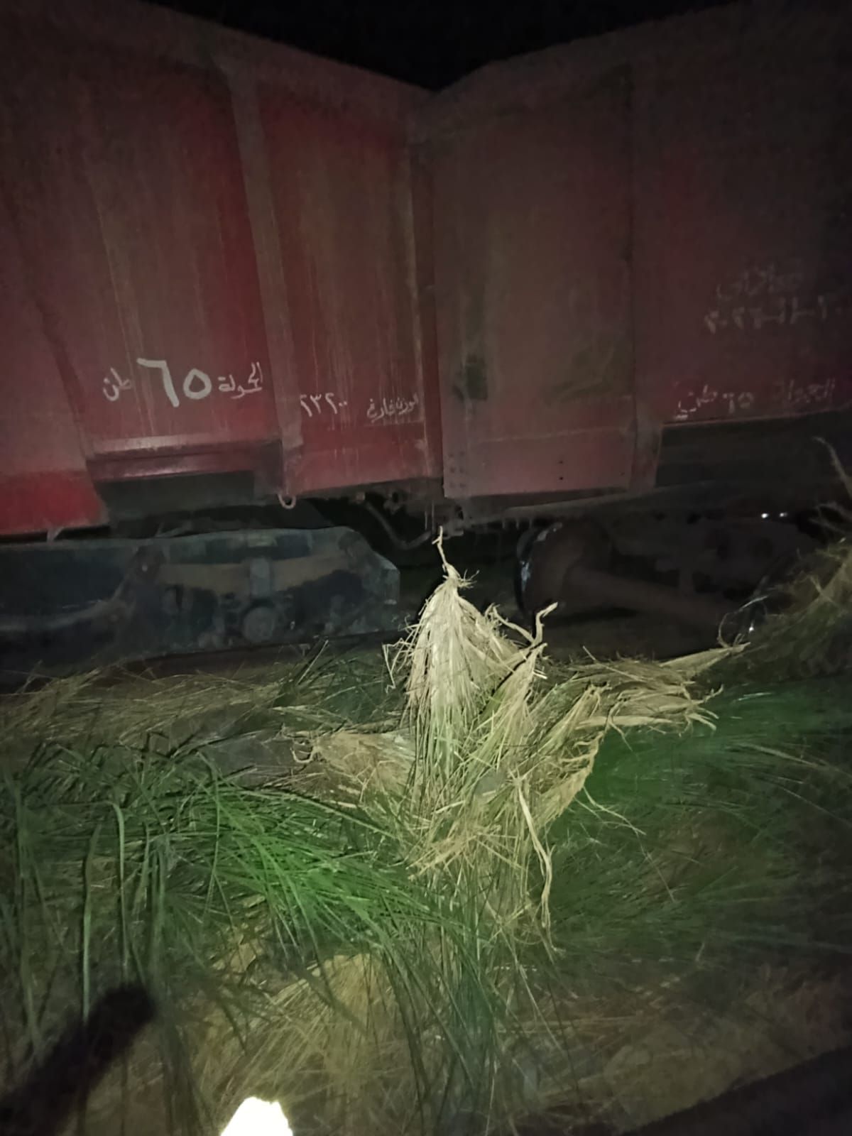 خروج قطار بضائع (3)