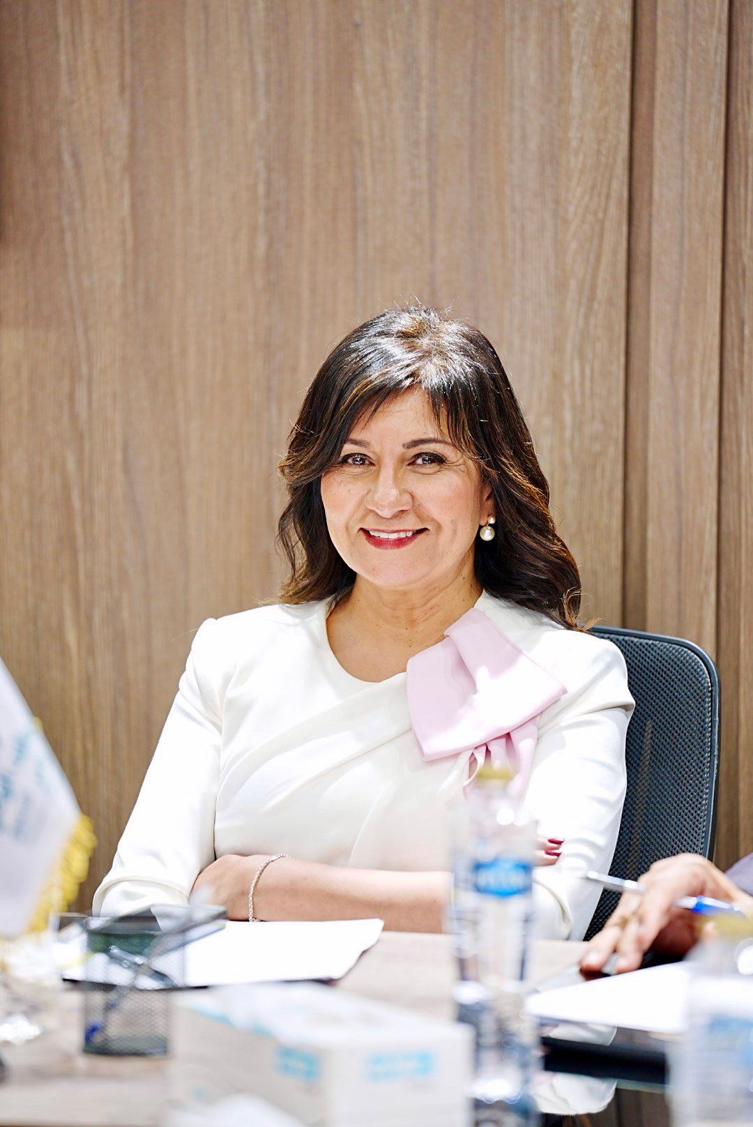 السفيرة نبيلة مكرم رئيس الأمانة الفنية للتحالف الوطنى السفيرة نبيلة مكرم رئيس الأمانة الفنية للتحالف الوطنى