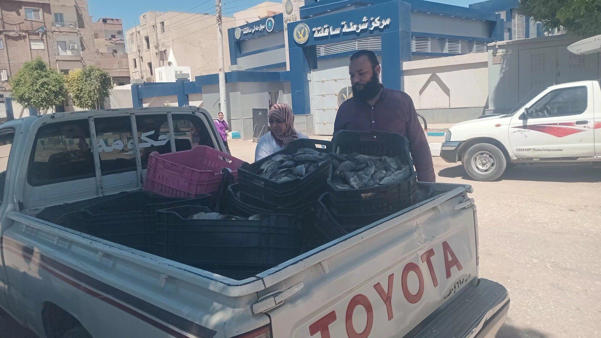 الأسماك المضبوطه الأسماك المضبوطه