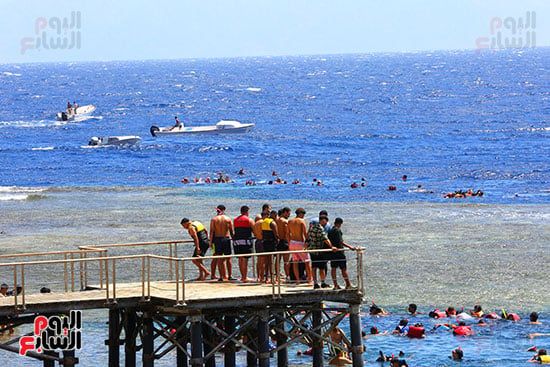دهب من فوق حلوة بس من تحت خرافية دهب من فوق حلوة بس من تحت خرافية