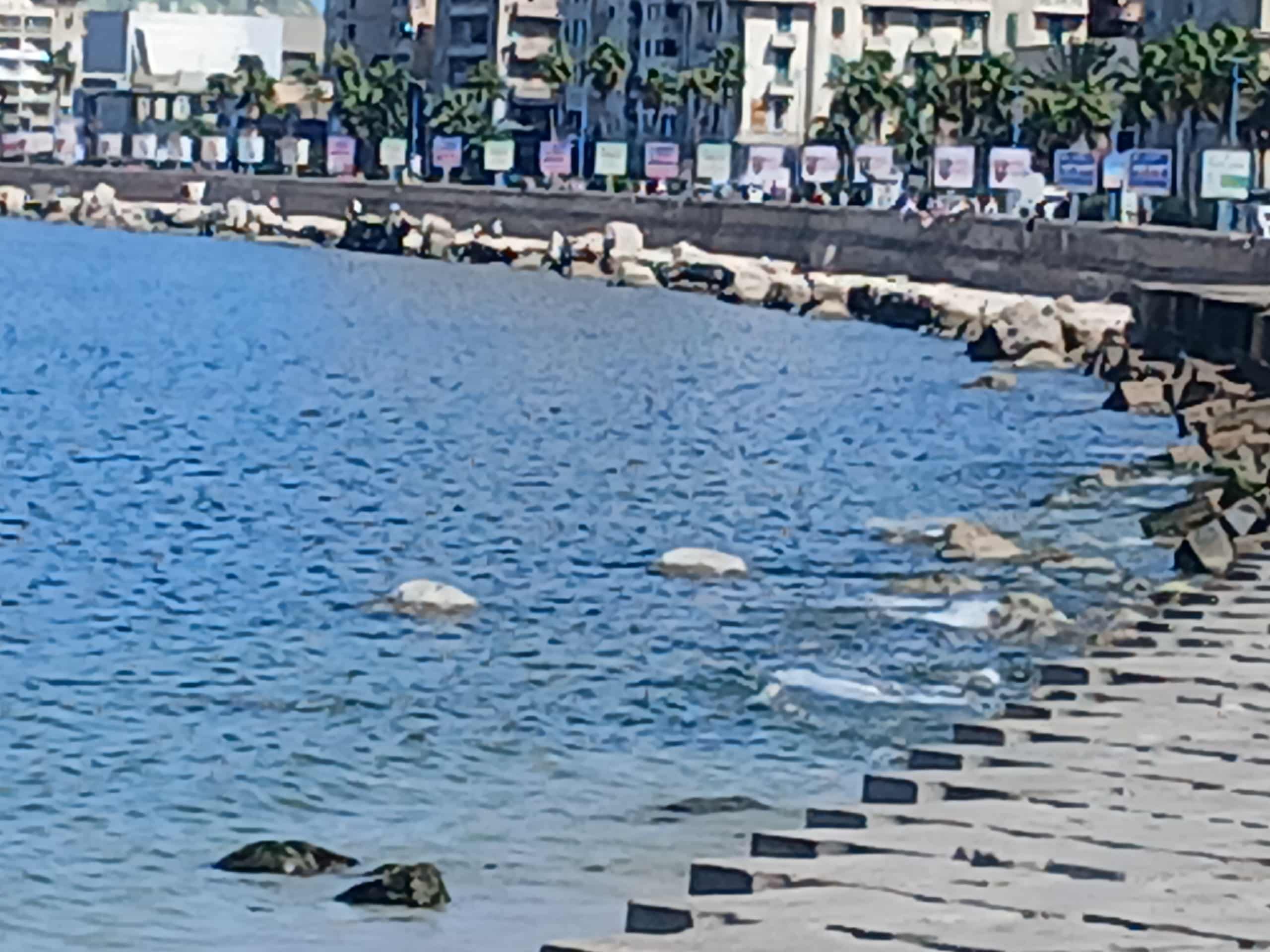 انحسار البحر بسبب العوامل الطبيعية في الإسكندرية انحسار البحر بسبب العوامل الطبيعية في الإسكندرية
