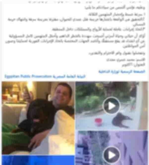 الكلب