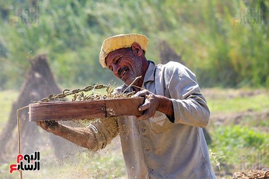 تنقية السمسم من الشوائب تنقية السمسم من الشوائب