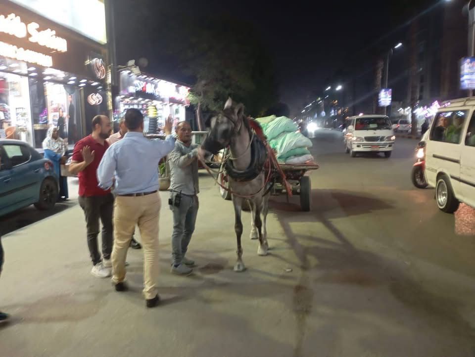 ضبط الفريزة والعربات الكارو بشارع فيصل نطاق بولاق الدكرور والعمرانية (4) ضبط الفريزة والعربات الكارو بشارع فيصل نطاق بولاق الدكرور والعمرانية (4)
