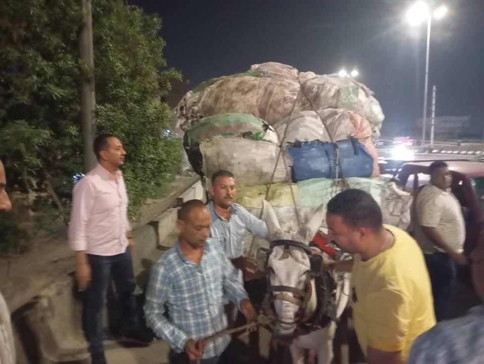 المضبوطات