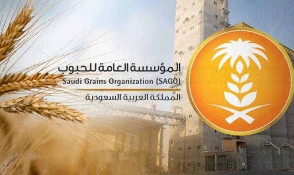 صرف 33 مليون ريال مستحقات الدفعة الـ 13 لمزارعي القمح المحلي