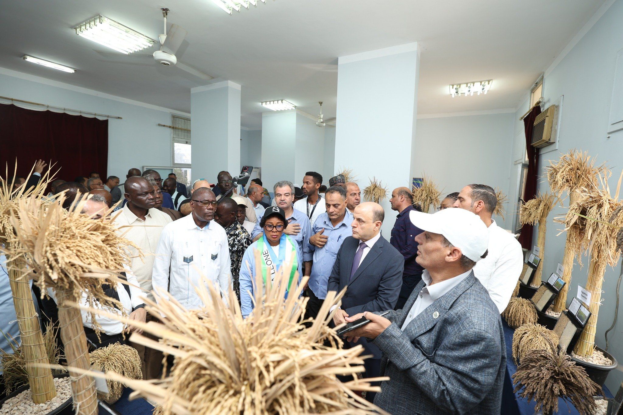 وفد أفريقي يطلع على أصناف الأرز الجديدة وفد أفريقي يطلع على أصناف الأرز الجديدة