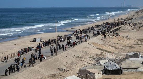 أهالى غزة فى طريق العودة من شارع الرشيد أهالى غزة فى طريق العودة من شارع الرشيد