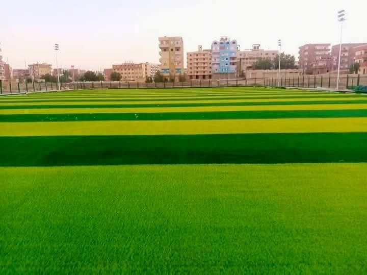 طفرة في تنفيذ الملاعب القانونية طفرة في تنفيذ الملاعب القانونية