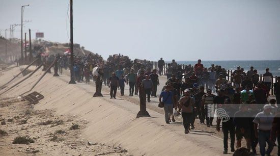 سيرا على الأقدام أهالى غزة يعودون الى منازلهم سيرا على الأقدام أهالى غزة يعودون الى منازلهم
