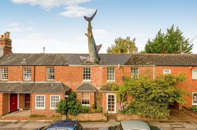 Property crash: The shark appears to be launching itself head-first into the terraced home