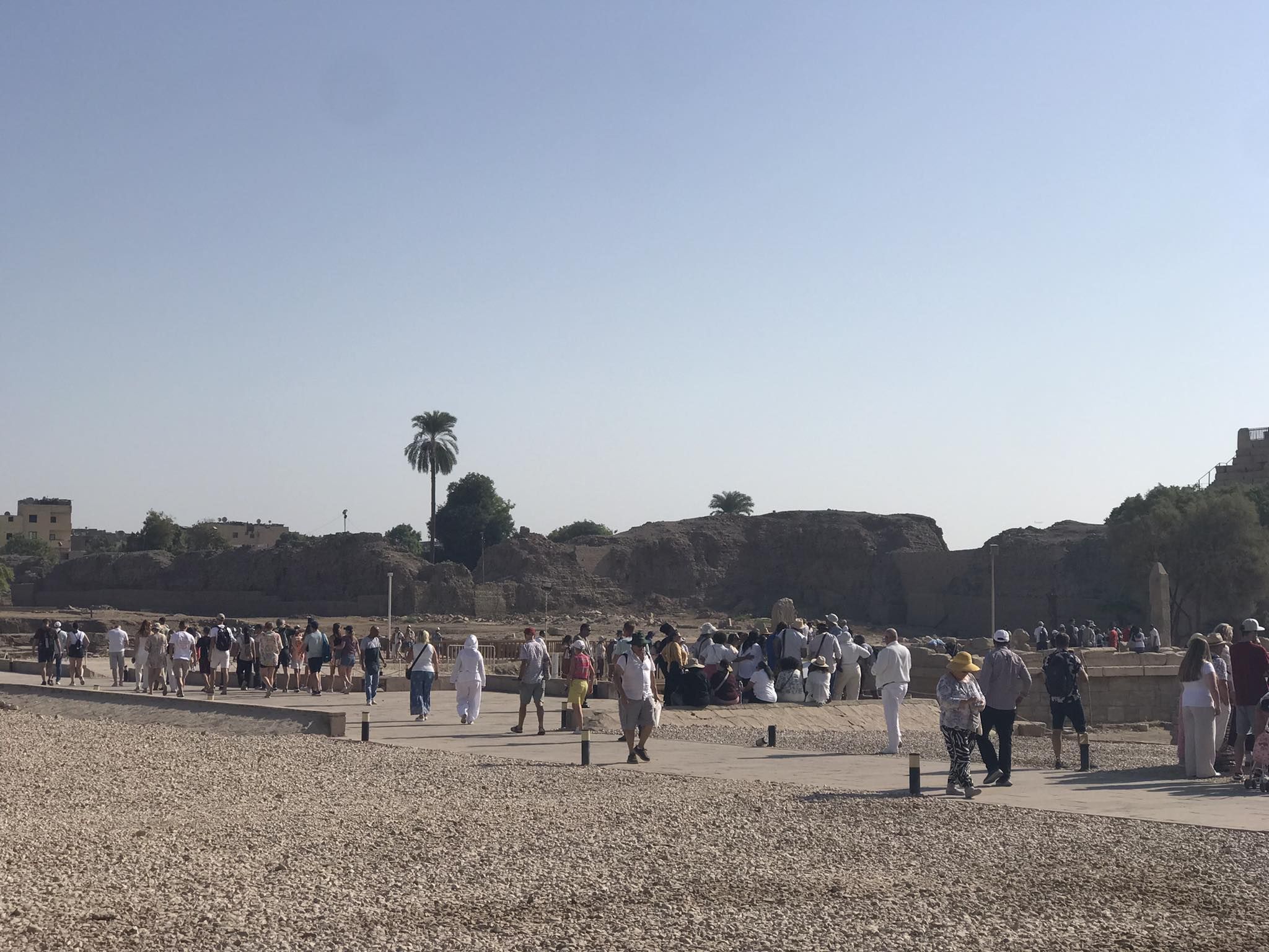 سياح من كل دول العالم يزورون الأقصر للإستمتاع بالحضارة المصرية القديمة سياح من كل دول العالم يزورون الأقصر للإستمتاع بالحضارة المصرية القديمة